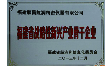 虹潤躋身省級戰略性新興產(chǎn)業(yè)骨干企業(yè)